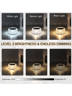 Modern Cordless Crystal Bird Nest LED Touch Decor Lamp