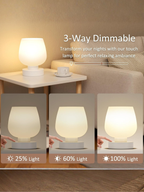 Modern Frosted Opal Glass Bedside Lamp with Touch Control