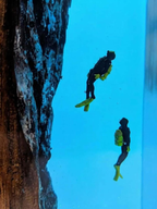 Ocean Resin Lamp with Humpback Whale and Diver