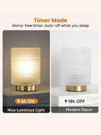 Cordless Battery Powered Lamp with Automatic 6-Hour Timer