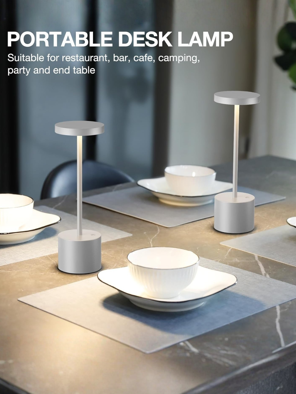 Set of 2 Modern Silver Gray Cordless Rechargeable LED Table Lamps