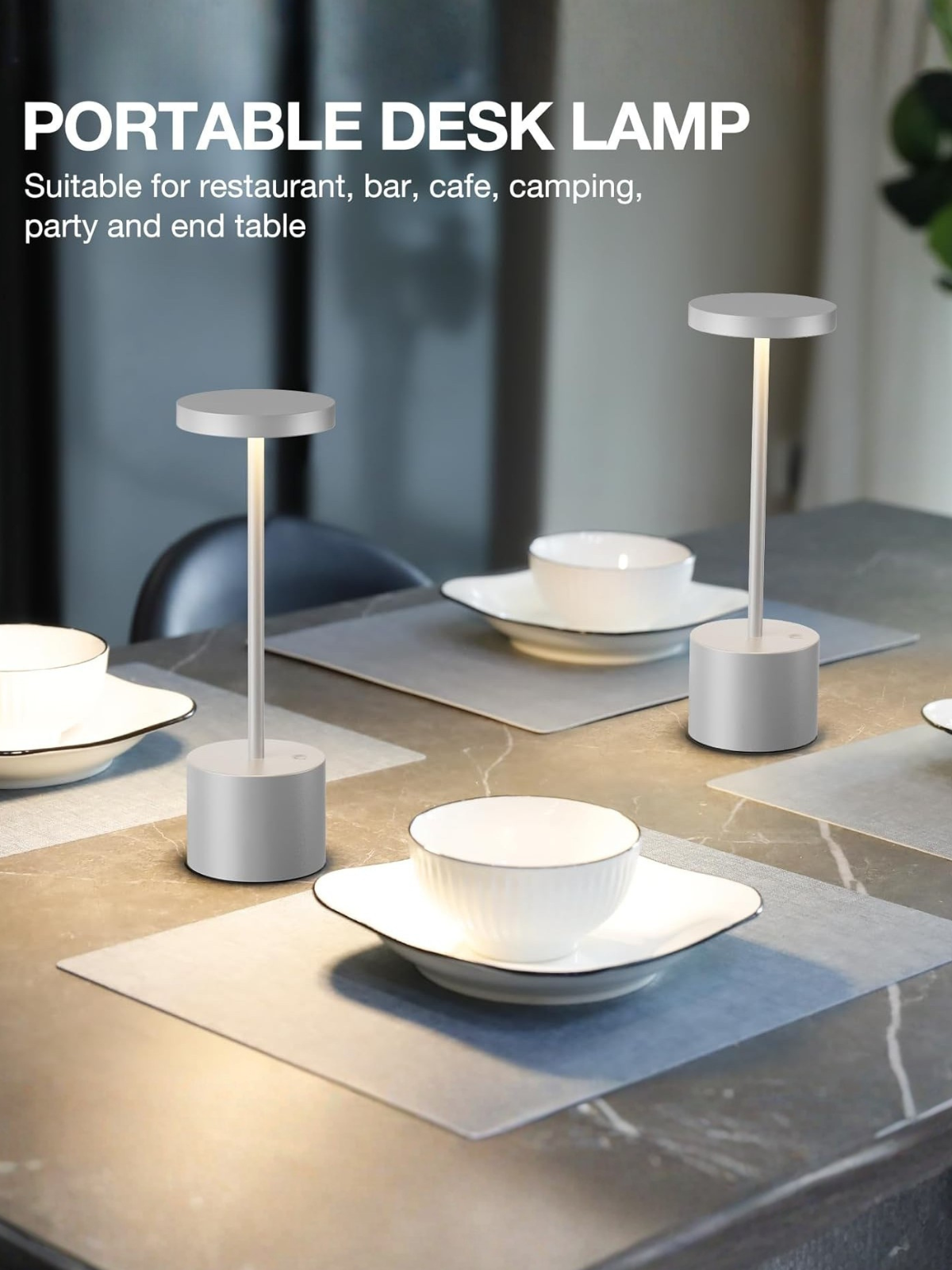Set of 2 Modern Silver Gray Cordless Rechargeable LED Table Lamps